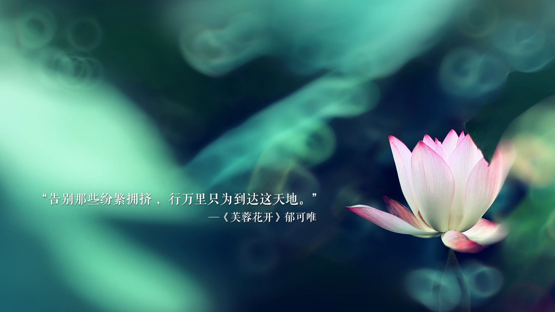法甲战术创新助攻胜利，精彩瞬间令人振奋，法甲技术特点