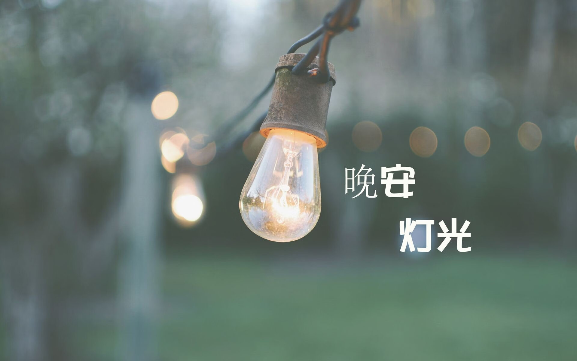 加拿大队的技术突破:国际乒联混合团体世界杯赛场表现,加拿大乒乓球外援